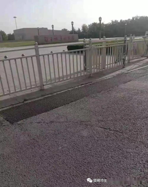 市政工程管理處全力推進市政道路設施精細化養護