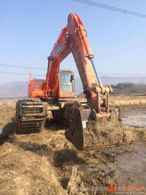 湖北210美國卡特水陸挖機租賃助力江南灘涂開發(fā)治理